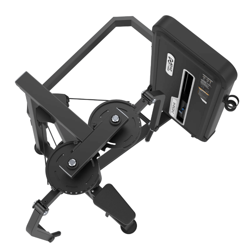 DHZ pec fly rear delt