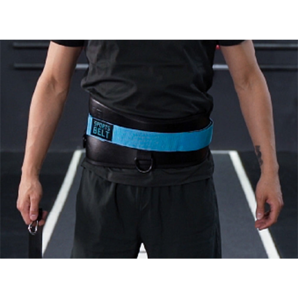 Livepro Dip Belt - LP8094