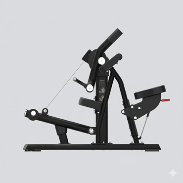 Insight Fitness Biceps Curl - SH018 on a white background