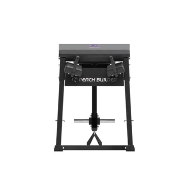 Insight Fitness Reverse Hyper - PB407