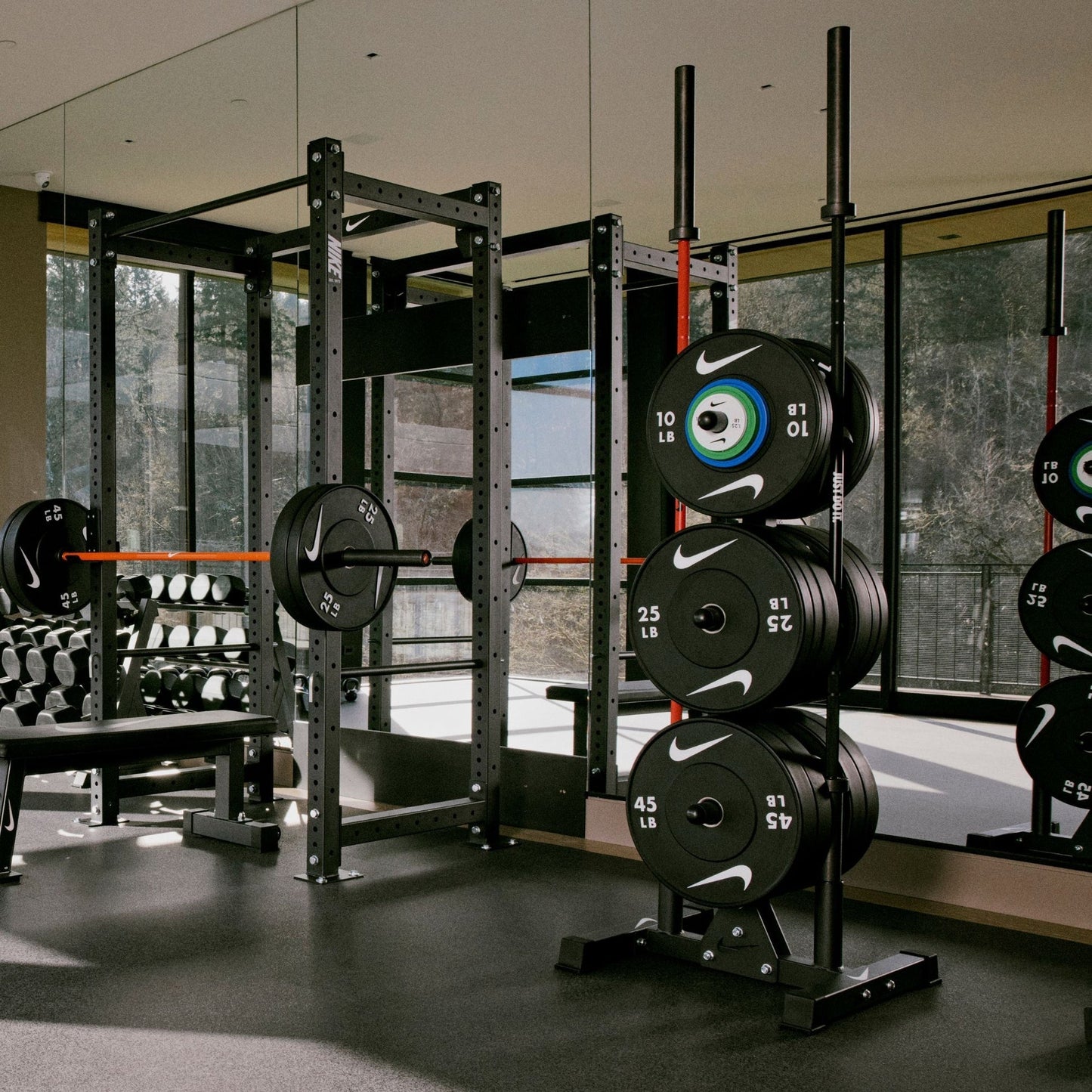 Nike Strength Olympic Plate Tree