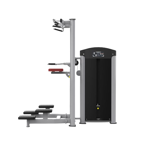 Gainmotion Commercial Assisted Dip Chin - GM-3014