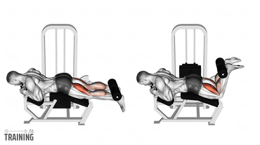 Insight Fitness Leg Curl & Leg Extension - SA031