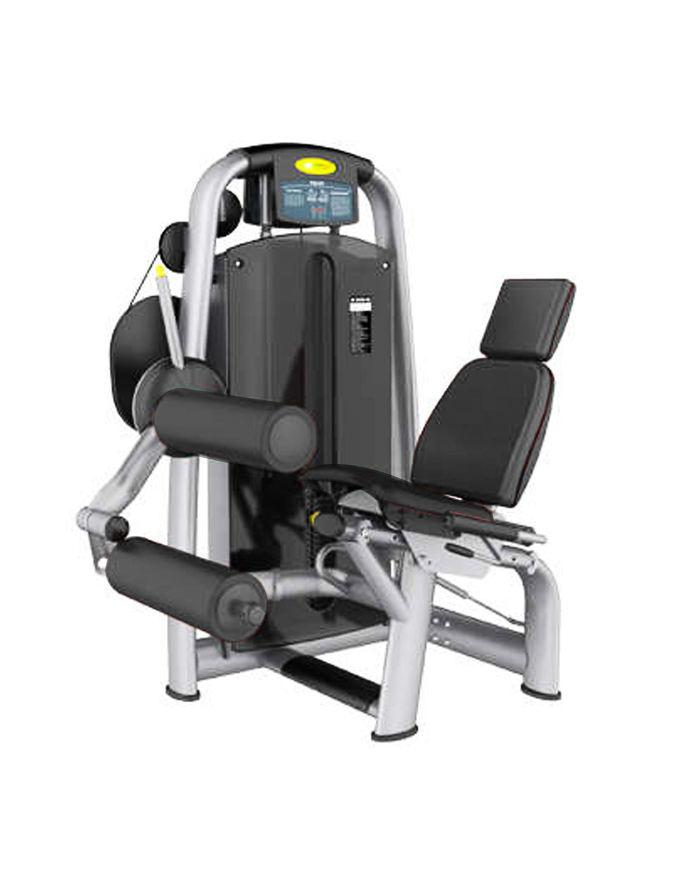 1441 Fitness Seated Leg Curl - 41AN24