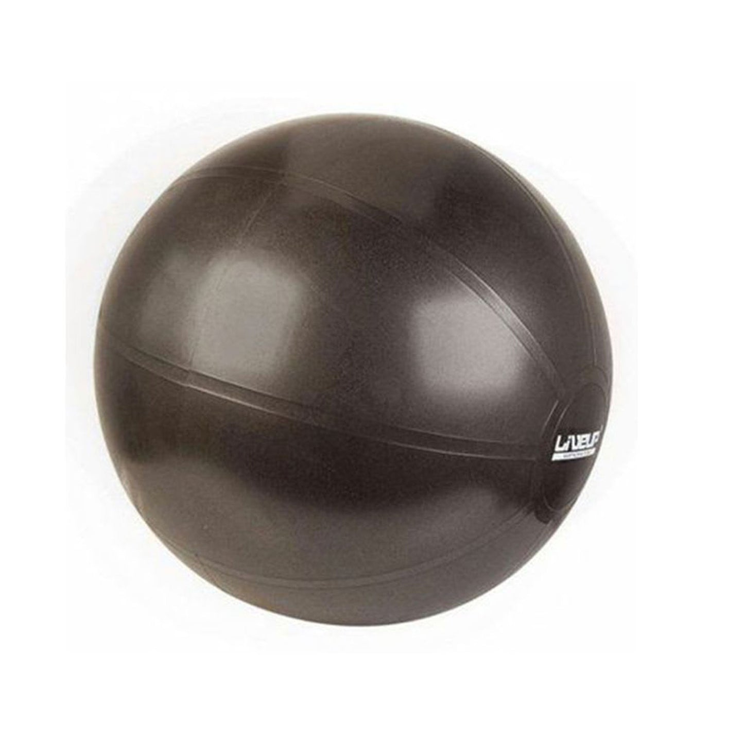 LiveUp Stability Ball With Pump - LS3579 | Prosportsae
