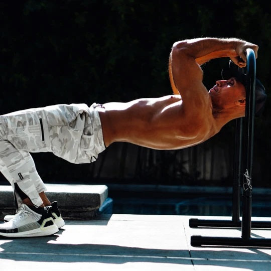 Lebert Fitness Equalizer Frank Medrano Signature Series - Matte Black