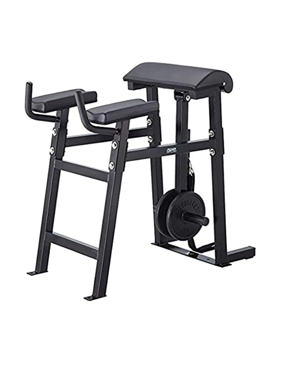 Steelflex Reverse Hyper Bench-Ape Series RH-1