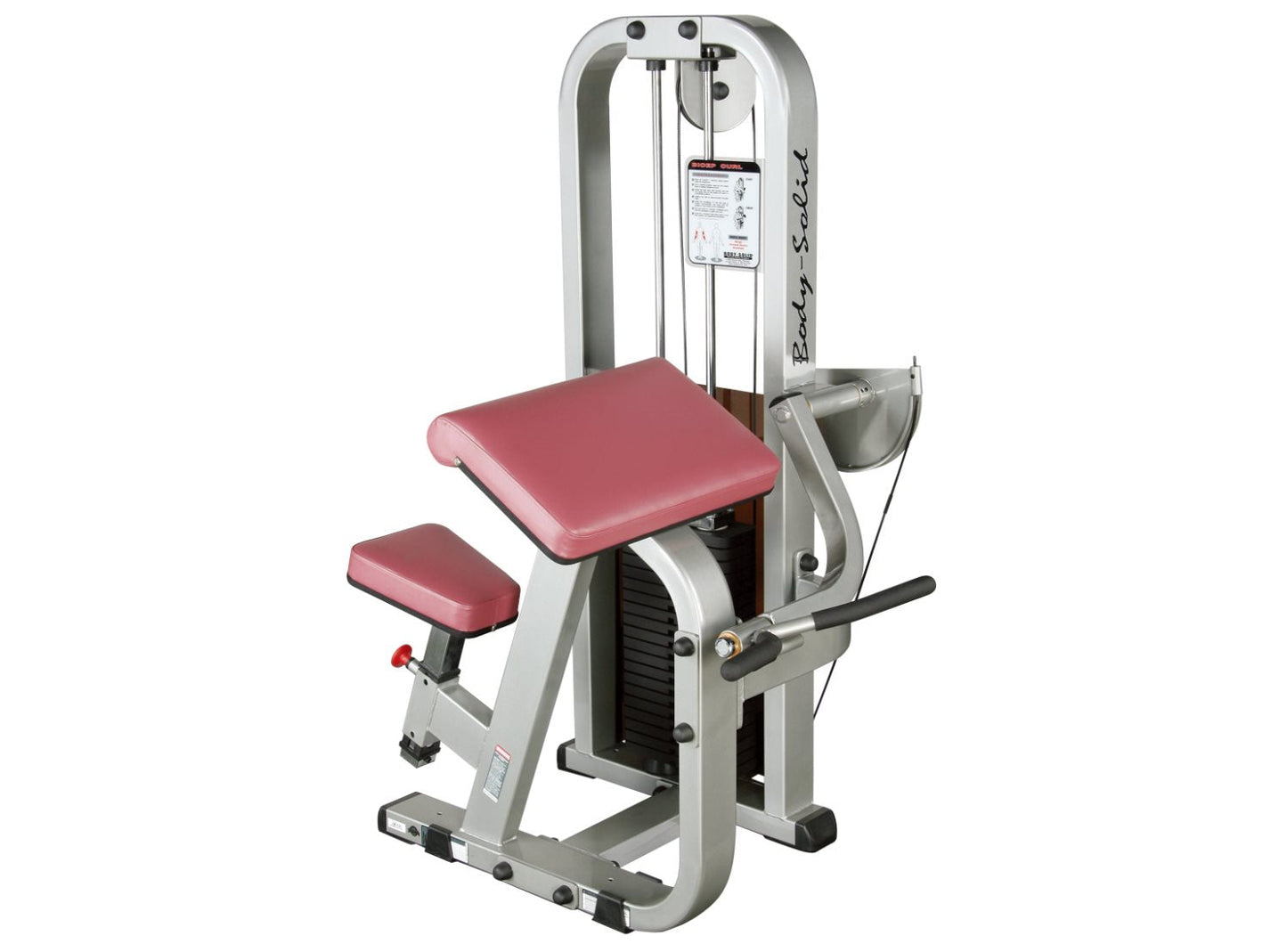 Body Solid Bicep Curl Machine SBC-600G/2 UAE - Prosportsae.com