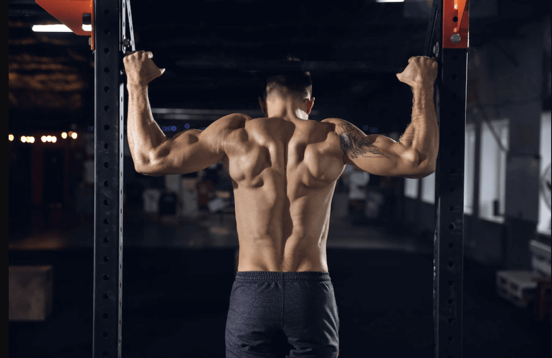 6 Best Back Workout Machines For Building Muscle!