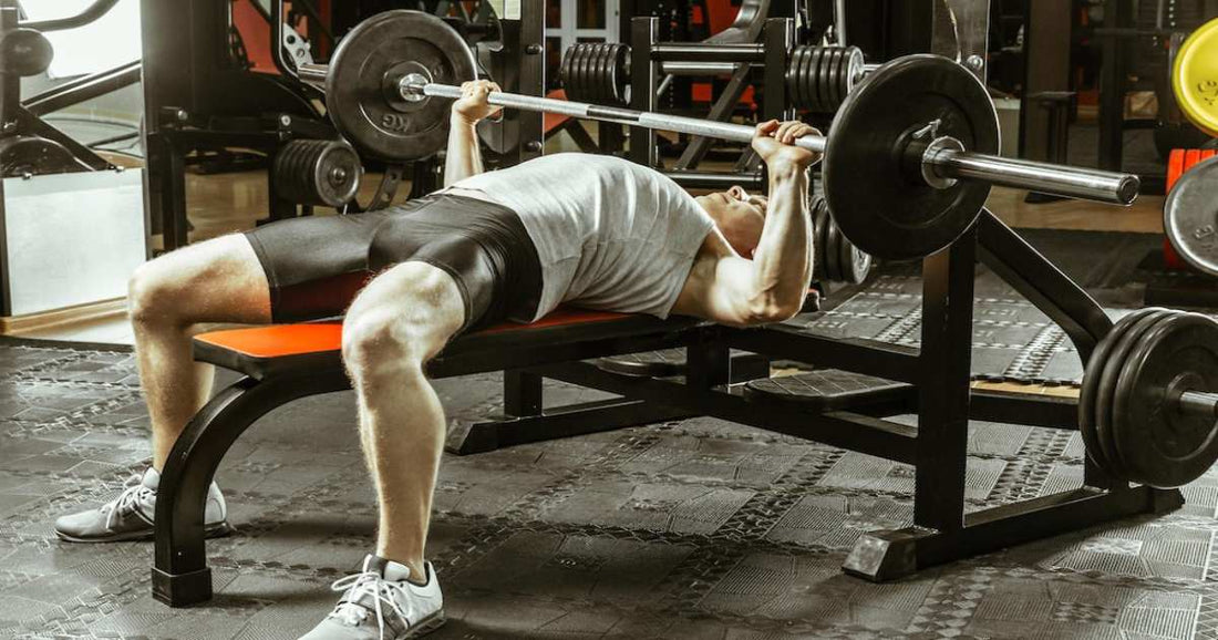 Weight Bench Buying Guide for Beginners