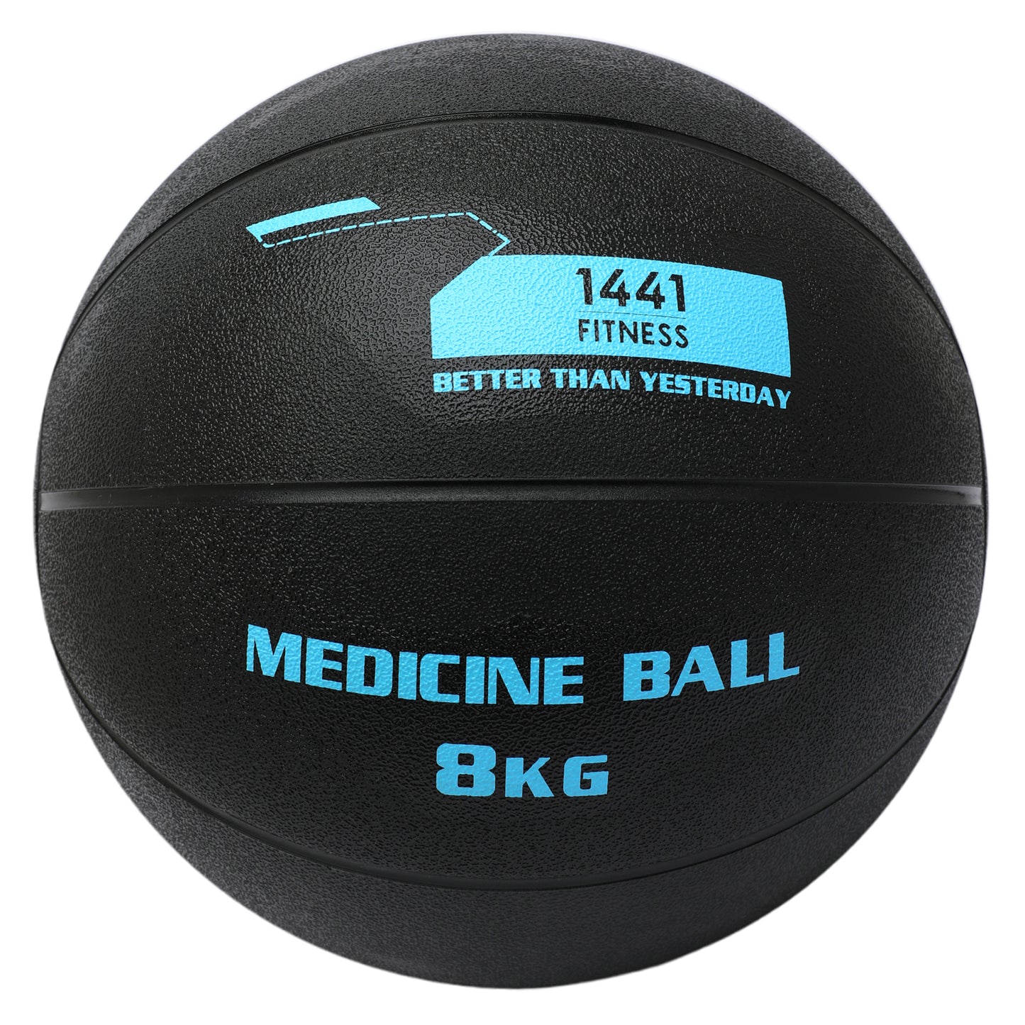 1441 Fitness Medicine Balls 1 to 10 KG
