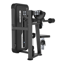 DHZ Fitness Lateral Raise - U3005A