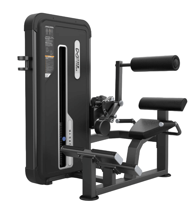 Workout Extension Machine DHZ Fitness Back Extension Machine 41FU3031A |Target Back