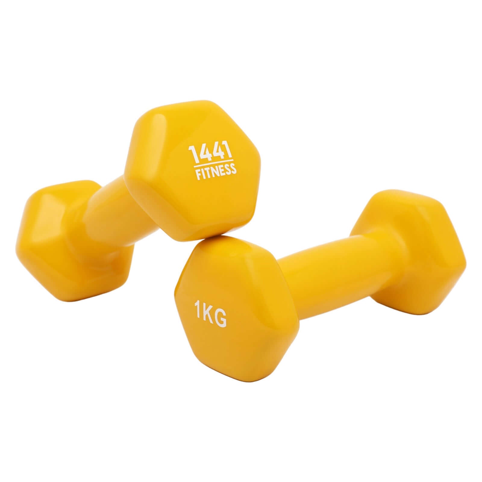 1441 Fitness Vinyl Dumbbells