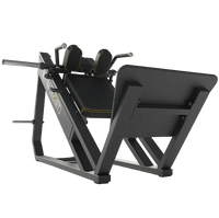 DHZ Fitness Hack Squat - U3057