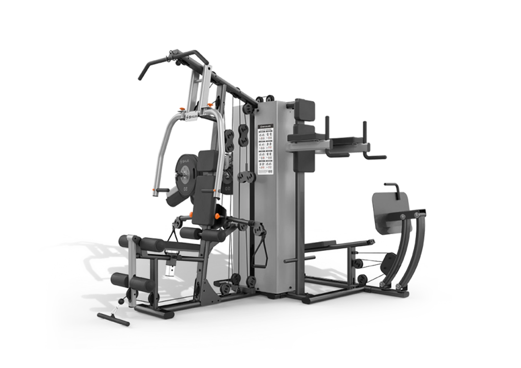 Shua 4 Station Multi-Gym