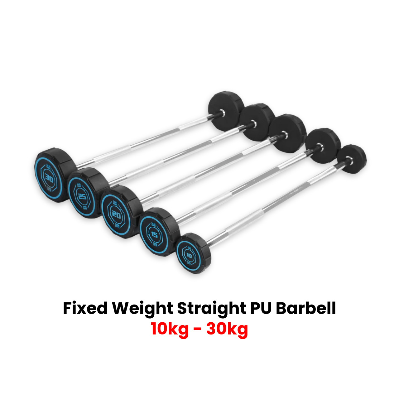Fixed Straight PU Barbell Set - 10 Kg to 30 Kg (Bundle)