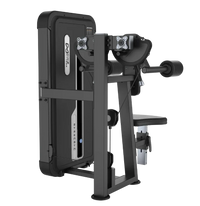 DHZ Fitness Lateral Raise - U3005 with visible brand logo on a white background