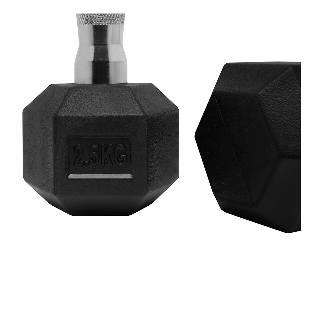 1441 Fitness Rubber Hex Dumbbells Set  2.5 - 50 kg ( 20 Pairs)- COMBO12 