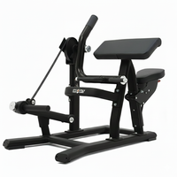 Insight Fitness Biceps Curl - SH018 with 'Insight' branding on a white background