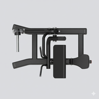 Insight Fitness Biceps Curl - SH018 or stand on a white background