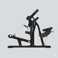 Insight Fitness Biceps Curl - SH018 on a white background