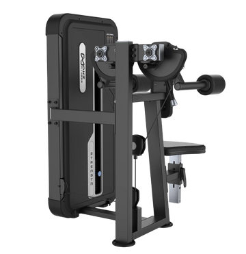 Dhz fitness cable lateral raise​
