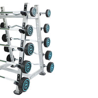 1441 Fitness Fixed Straight & Curl Barbell Weight Set - 10 kg to 30 kg With Rack