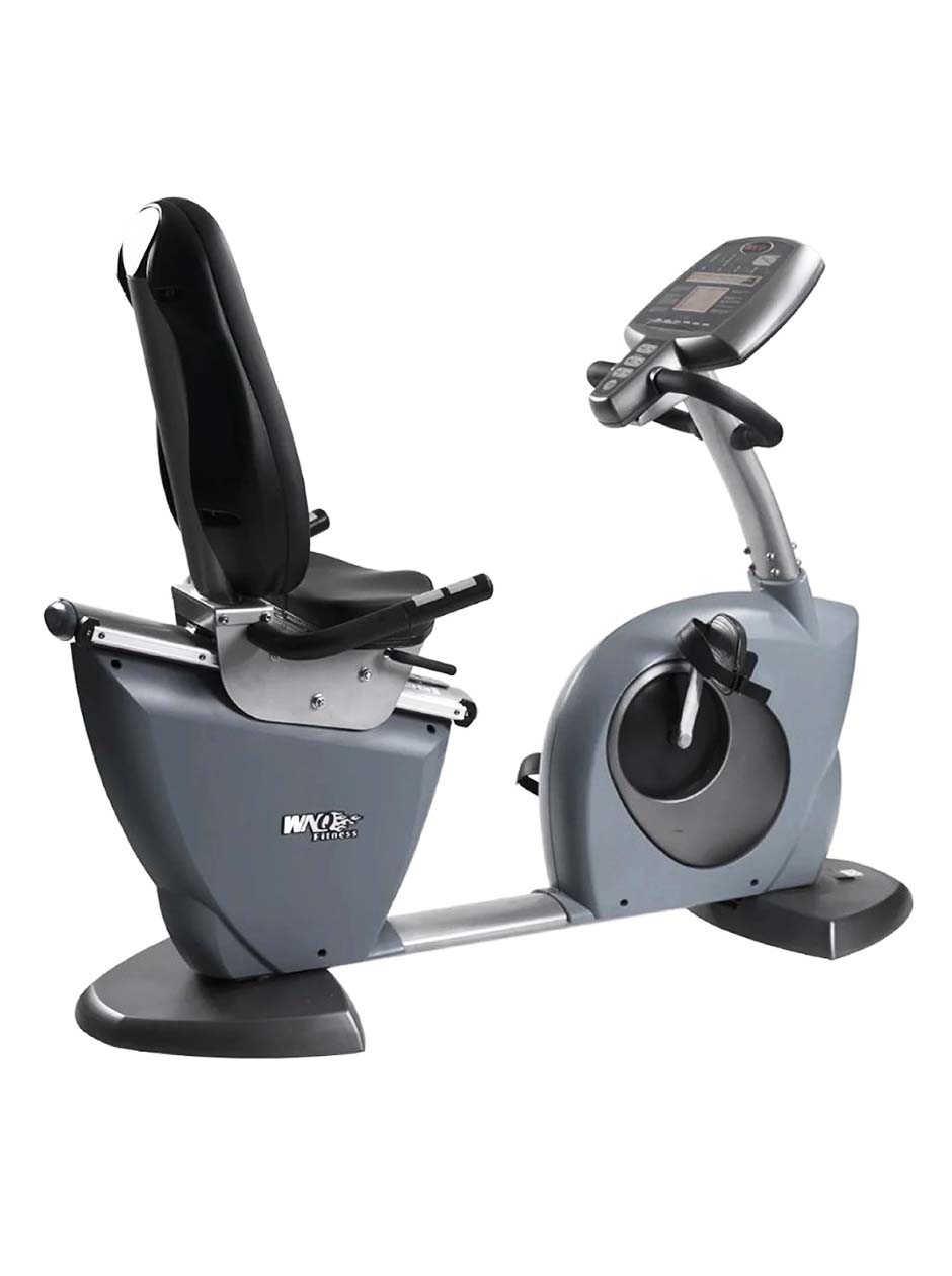 Afton Fitness Commercial Recumbent Bike 8318WB
