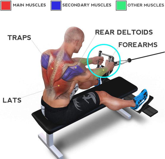 1441 Fitness Lat Attachment Double D Row