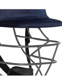 Prosportsae - Shrey Performance Cricket Helmet