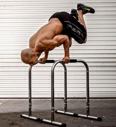 Lebert Fitness Equalizer Frank Medrano Signature Series  - Chrome