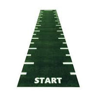 1441 Fitness Seamless Astroturf For Sled Track 10 x 2 Meter - Made In Canada
