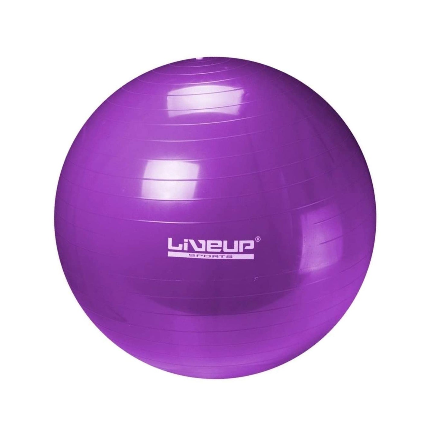 LiveUp Anti Burst Gym Ball  65 CM - LS3222 | Prosportsae